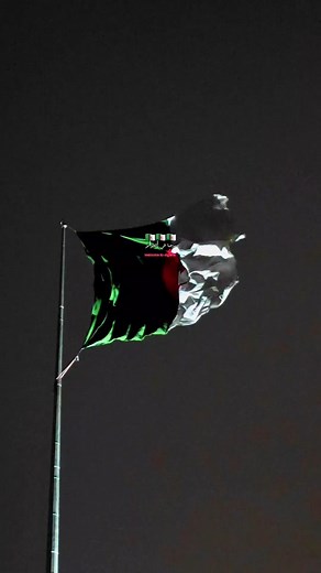 #🇩🇿 #الجزائر #تحيا_الجزائر #قسما_بالنازلات_الماحقات #عيد_الاستقلال #algeria #123vivalalgerie