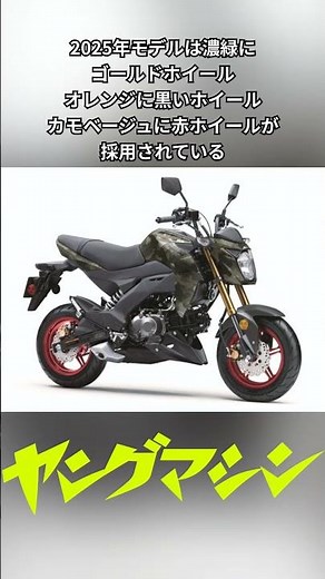 カワサキ「Z125プロ」2025年モデル登場！ カモ柄に金のサスペンション、さらにホイールも塗り分け【海外】#バイク #kawasaki #z125