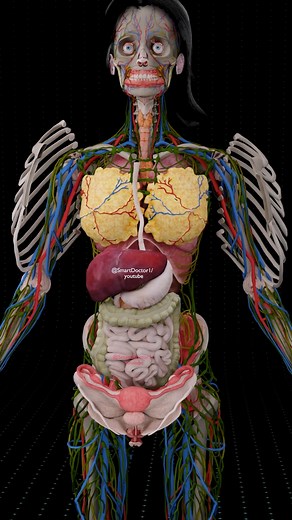 68K views · 926 reactions | El Plano Femenino | El Sistema Perfecto...