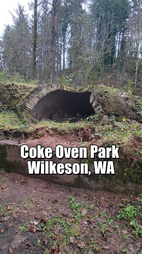 22K views · 451 reactions | Wilkeson’s historic Coke Oven Park, where rows of preserved beehive ovens reveal the town’s booming coal-coke past. #Wilkeson #CokeOvens #WashingtonHistory #GhostTownsAndMines #PNWHistory #CoalMining #HistoricPlaces #ExploreWashington #PierceCounty #MiningHeritage #ForgottenWashington #HistoryInTheWoods #PacificNorthwest | Ghost Towns and Mines of Washington | Facebook
