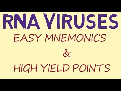 RNA Viruses - Easy Mnemonics & High Yield Points