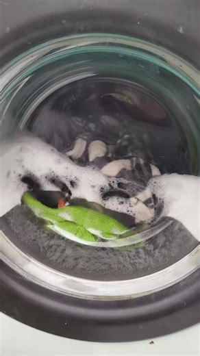 Zanussi Fast Colours Washing Machine Features