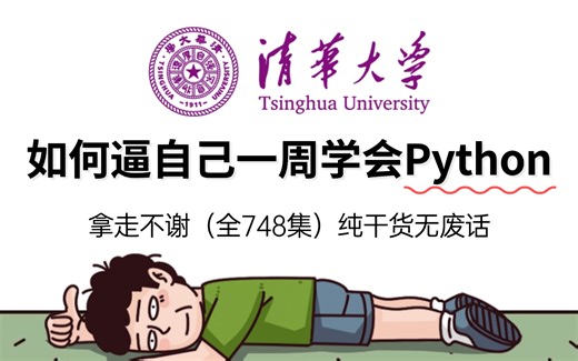 【Python教程】2025最新最适合萌新入门的Python全套教程！整整748集，全程干货无废话！手把手教学，7天就能从小白到大神！存下吧！学完即可就业！