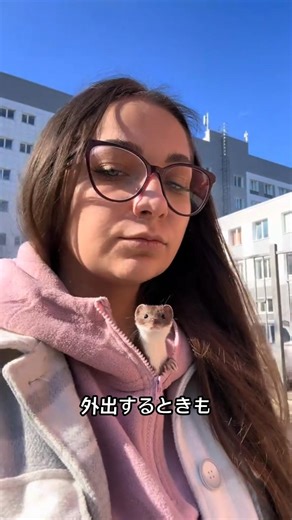 オコジョが人に育てられると、こんなにおとなしくなります。