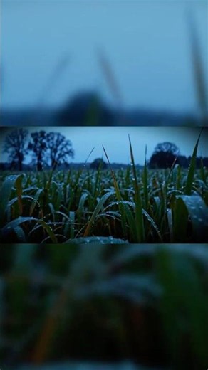The Night Shift Story That Still Disturbs Him… #horror #shorts #terrifyingtales
