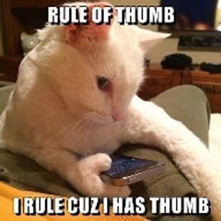 Rule of Thumb - Meaning, Origin and Usage - English-Grammar-Lessons.com