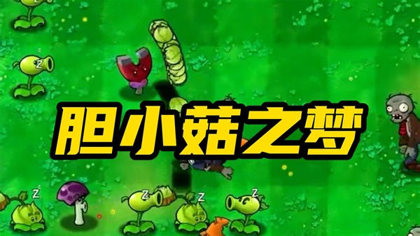 植物大战僵尸：见过最天才的PVZ玩法！