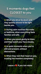 5 moments dogs feel CLOSEST to you ❤️ #dog #doglife #dogparent #dog#doglover | Pocket Pitbulls