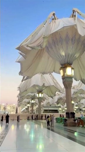 Giant umbrellas in Saudi Arabia that open automatically daily providing shade for people