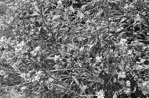 Personal project -Chosen Topic: Fragments #4