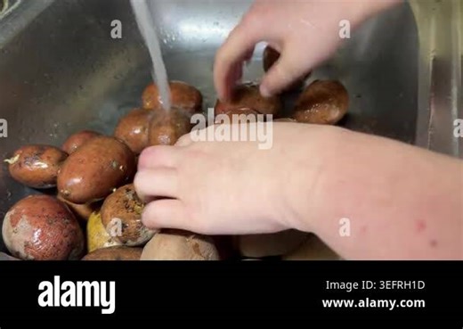 Washing dirty red potatoes in a metal sink; hands are rinsed under running water along with the fresh raw vegetables Stock Video Footage - Alamy