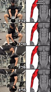 1.6M views · 16K reactions | Get Bigger Arms using Dumbbells Triceps Extension® Standing Concentration Curl@ Dumbbell Rotation• Hammer Curl3 sets 12-15 reps #fitness #gym #exercise #workout #workoutroutine #exercisetips #fitnesstips #workoutforbeginners #bodybuilding #armworkout | Sidfitfacts | Facebook