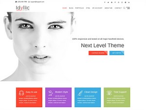 Idyllic is the next generation theme which is rich is content and features