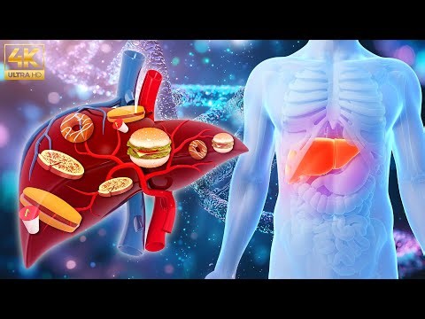 528Hz Liver Detox - Whole Body Healing, Alpha Wave Sound Therapy Cures Up to 98.9% of Diseases #1