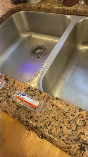 TERRO Ant Bait Review – Do These Actually Work? (Real Home Test)