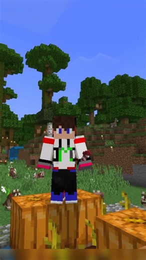 Shulker Box in Minecraft.