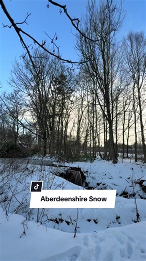 Beautiful Aberdeenshire Snow Scenes in Scotland