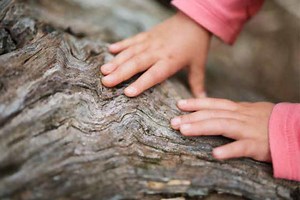 Increase Your Knowledge - Early Science Matters