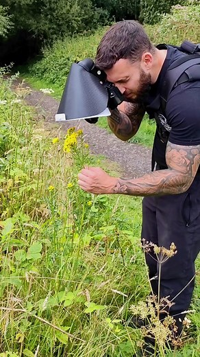 Importance of Pollinators in Our Ecosystem