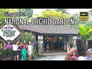 Explore The Captivating Orchid World In Singapore's National Orchid Garden - 4k Hdr