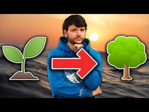 PHOTOSYNTHESIS: A Simple Explanation - Science Education