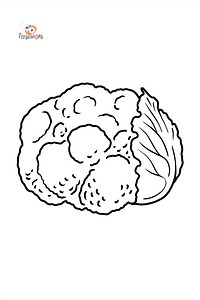 Cauliflower coloring page ♥ Online and Printable for Free!