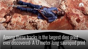 220K views · 535 reactions | The world's largest dinosaur footprint...