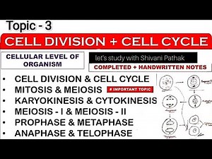 Complete Cell Division And Cell Cycle