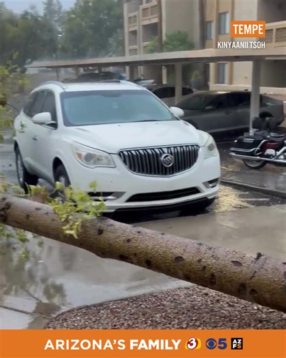 386K views · 4.8K reactions | Damage and power outages are being reported throughout the Valley from today's powerful storm. STORM COVERAGE: https://azfamily.tv/4mIOeZ1 | azfamily 3TV CBS 5 | Facebook