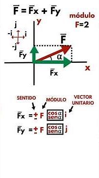 Decomposition of a vector into two components: Ep11 #physicshighschool #gravitationalfieldcourse