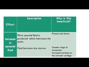 Anatomy and Physiology unit 1 BTEC SPORT level 3-Responses of the skeletal system to exercise