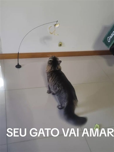 Brinquedo de gato-simulação de pássaro #tiktok #tiktokshop #brinquedos #pet #brinquedopet