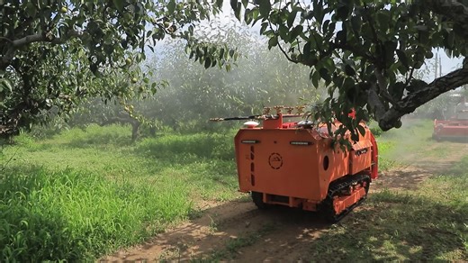 Agricultural Pesticide Spraying Machine with Engine and Gearbox Efficient Core Components Sprayer Spray