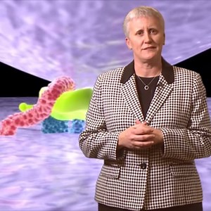 HIV Life Cycle Animation