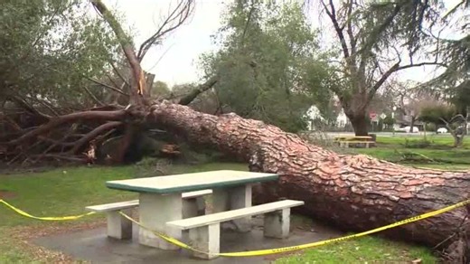 Cleanup in Stockton continues after storms leaves flooding, downed trees