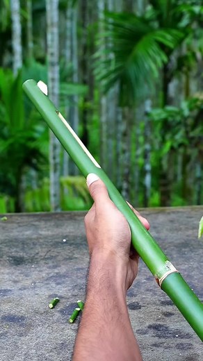 1.1M views · 6.7K reactions | Easy to Made Pure Bamboo Toys #EcoFriendly #ideas #make #homemade | Fendi Dores | Facebook