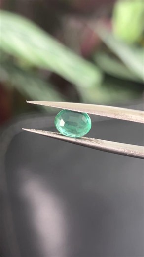1.68 minor oil oval greenish blue emerald #gemstone #emerald #emeraldsforsale