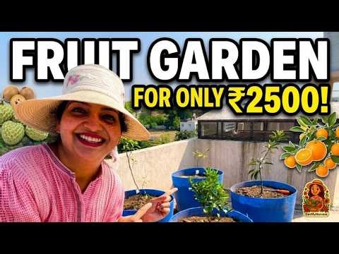 ₹2500 Fruit Garden Challenge! 🍎 Balcony Garden Setup