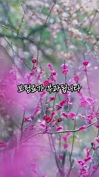 지역가입자 건보료 계산 방법#건강보험료#지역가입자#은퇴준비#5060재테크#노후준비#오십플러스이야기