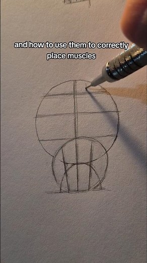 How to draw male anatomy (secret guidelines) #howtodraw #easydrawing #maleanatomy #drawingtutorial