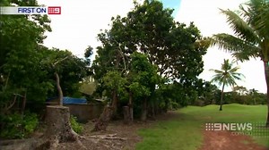 29K views · 142 reactions | GOLF HAZARD: The Darwin Golf club could be forced to close, after a report found more than 200 potentially deadly trees have to be removed... at a cost of nearly $2.5 million dollars. | 9 News Darwin | Facebook