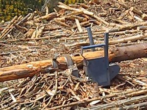 Harvestech S3000 Delimber in action 4