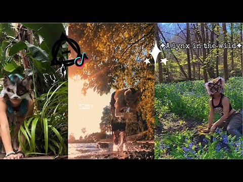 Therian/Quadrobics Tiktok Comp!!🪵🐾🐛 //#1