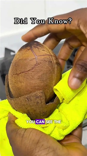 How To Deshell Coconut Without Breaking Walls #shortsafrica