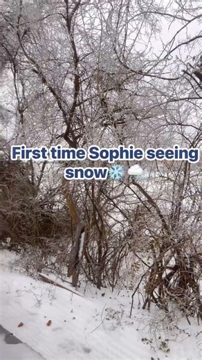 I dont think she cared for the snow lol. #shorts #trending #parrot #conure #snow