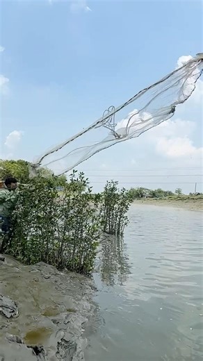 Wow amazing net river #foryou #fishing #vairalvideo #river #village