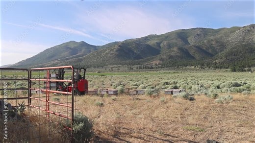 HummerBee Beekeeping forklift operating California apiary