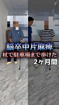 Stroke Hemiplegia: A 2-Month Assessment and Intervention Case of Going from Right-Sided Hemiplegi...