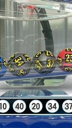 Lotto 1237 Winning Numbers Announcement | First Prize Numbers and Bonus Number Summary