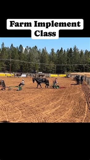 11K views · 422 reactions | Nevada County Fairgrounds on Reels | Facebook